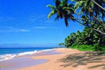 Westwood Goa - The Boutique Hotel